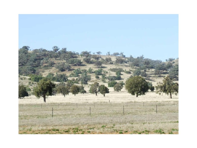 Tamworth NSW 2340
