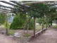 Tamworth NSW 2340