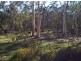 Watsons Creek NSW 2355