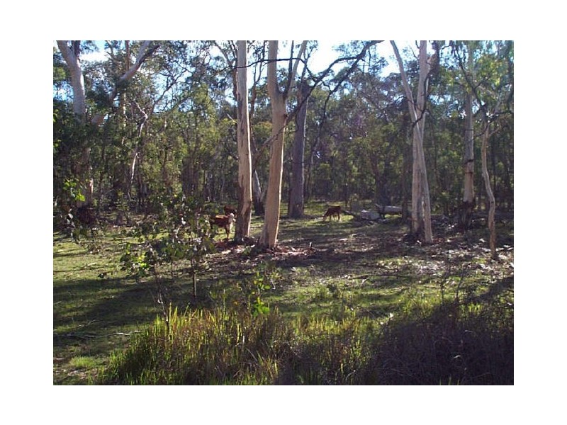 Watsons Creek NSW 2355