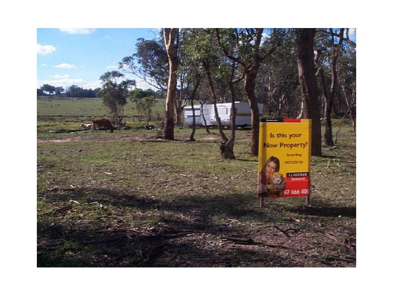 Watsons Creek NSW 2355