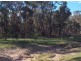Watsons Creek NSW 2355