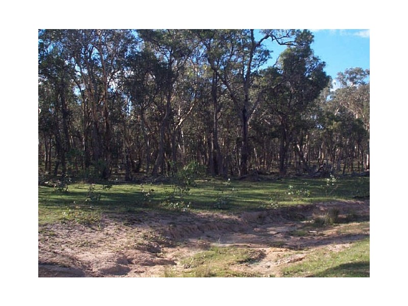 Watsons Creek NSW 2355