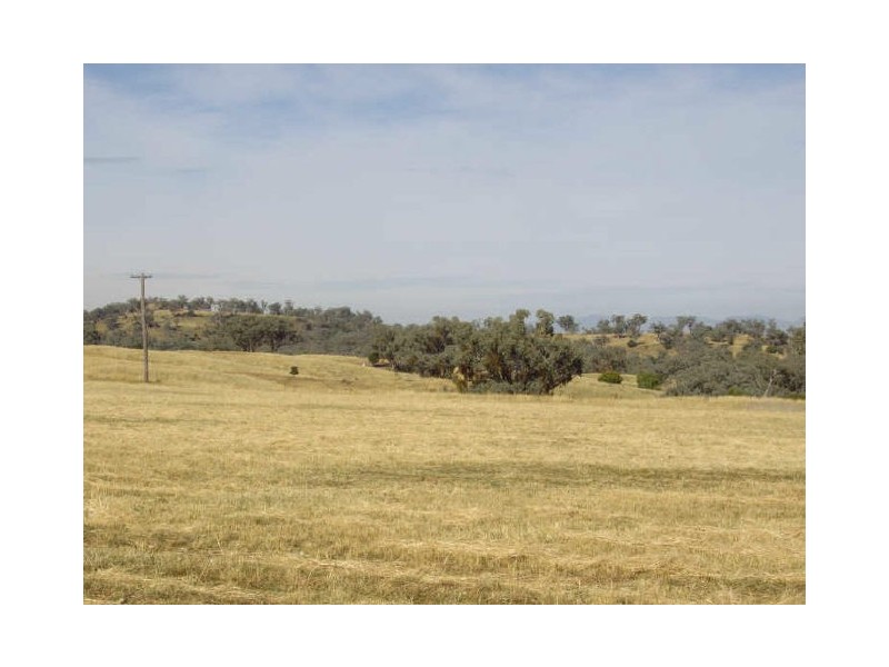 Moore Creek NSW 2340