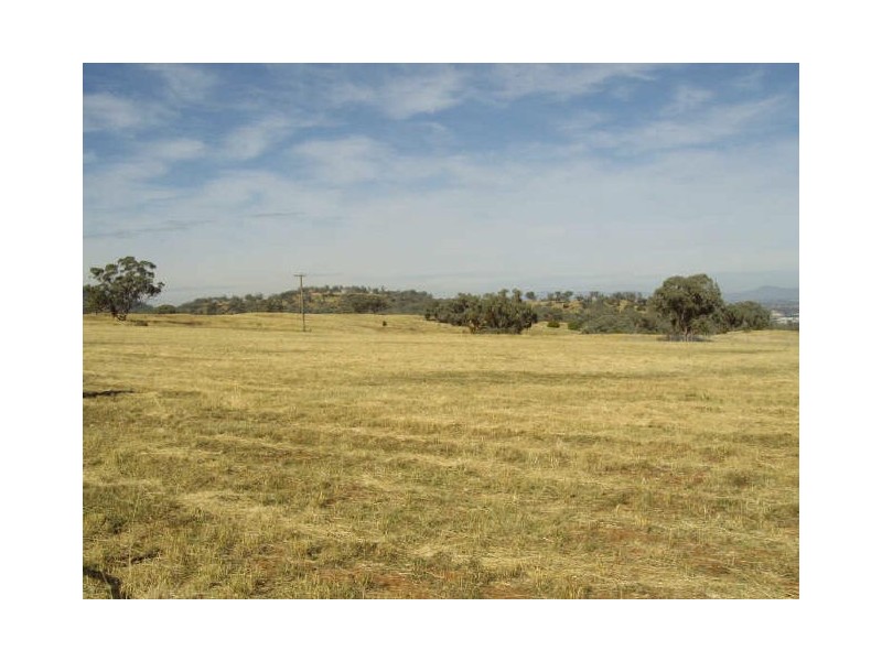 Moore Creek NSW 2340