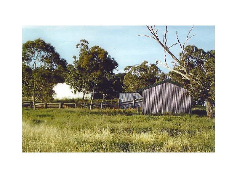 Werris Creek NSW 2341