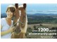 Lot 5/Springhill Estate/ Nundle Road, Tamworth NSW 2340