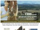 Lot 5/Springhill Estate/ Nundle Road, Tamworth NSW 2340