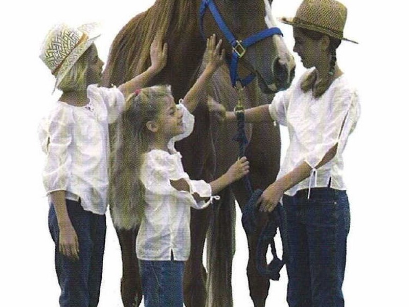 Lot 5/Springhill Estate/ Nundle Road, Tamworth NSW 2340