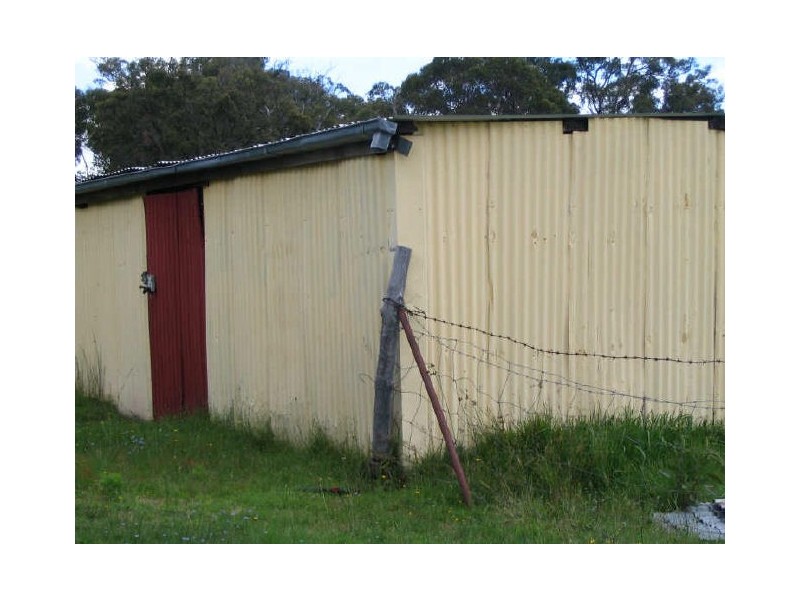 Watsons Creek NSW 2355