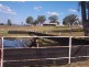 Loomberah NSW 2340