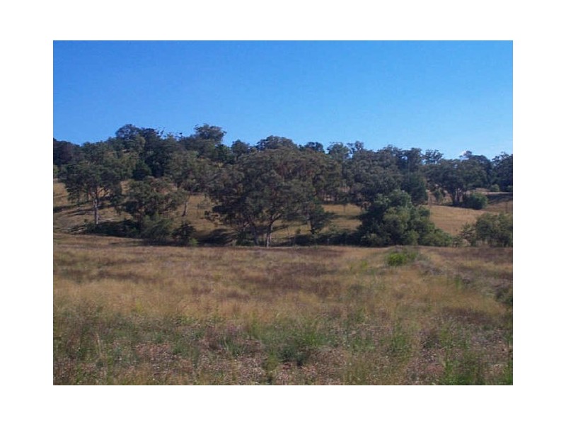 Moore Creek NSW 2340