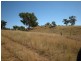 Upper Manilla NSW 2346