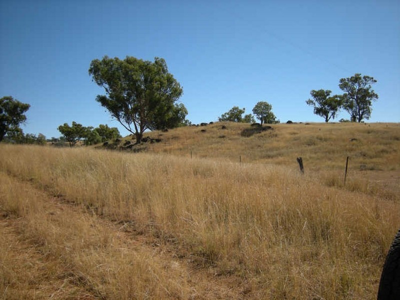 Upper Manilla NSW 2346