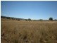 Upper Manilla NSW 2346