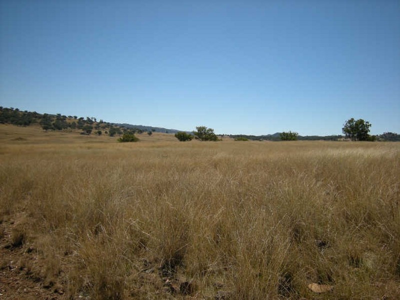 Upper Manilla NSW 2346