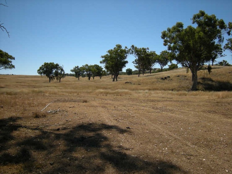 Upper Manilla NSW 2346