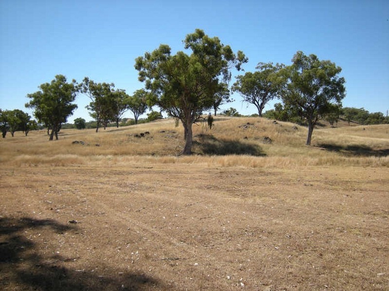Upper Manilla NSW 2346