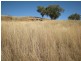 Upper Manilla NSW 2346