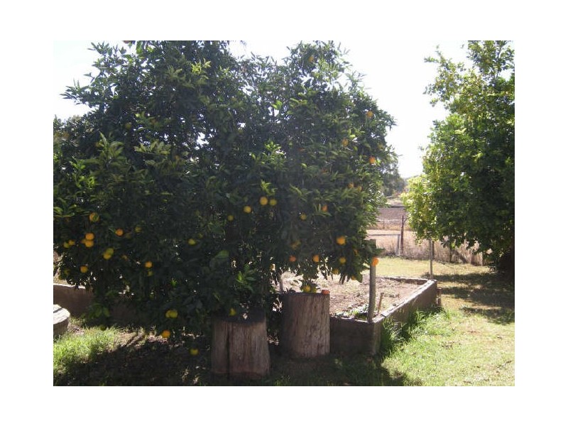 209 Back Kootingal Road, Tamworth NSW 2340