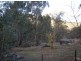 ‘Springfield Park’/off Roseneath Road, Watsons Creek NSW 2355