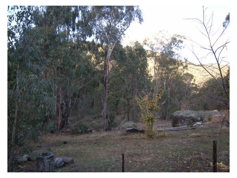 ‘Springfield Park’/off Roseneath Road, Watsons Creek NSW 2355