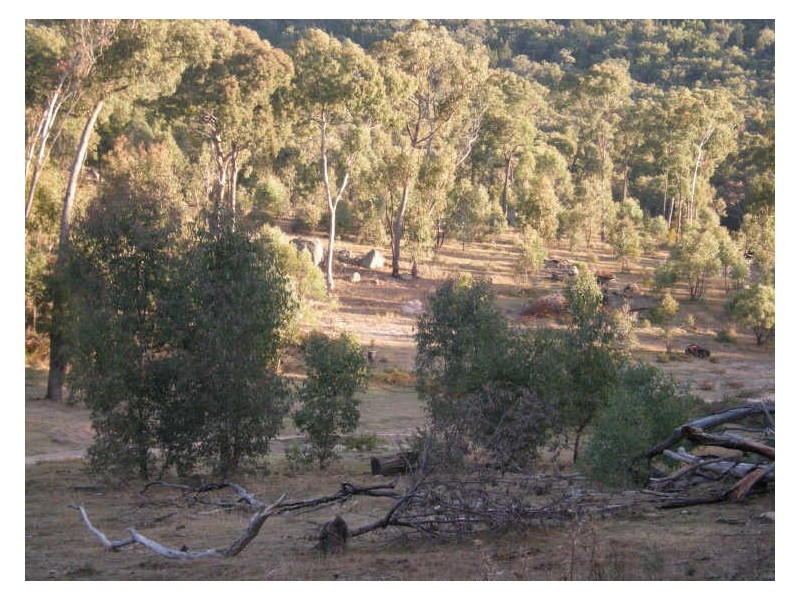 ‘Springfield Park’/off Roseneath Road, Watsons Creek NSW 2355