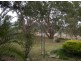 923 Daruka Road, Tamworth NSW 2340