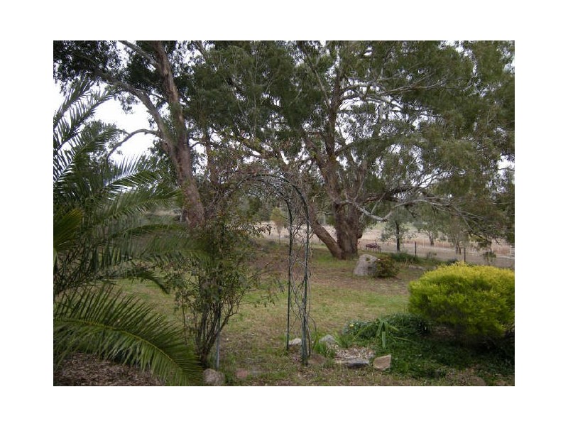 923 Daruka Road, Tamworth NSW 2340