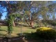 923 Daruka Road, Tamworth NSW 2340
