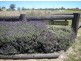 57-65 Spains Lane, Tamworth NSW 2340