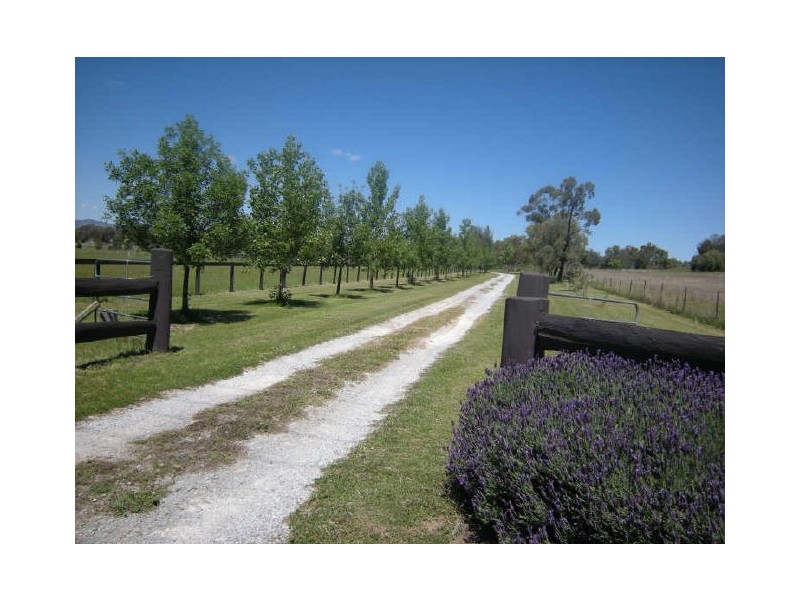 57-65 Spains Lane, Tamworth NSW 2340