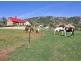 Tamworth NSW 2340