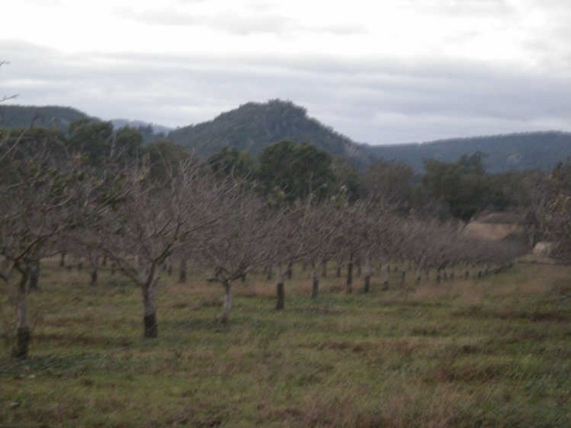 Moonbi NSW 2353
