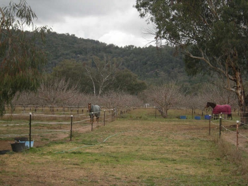 Moonbi NSW 2353