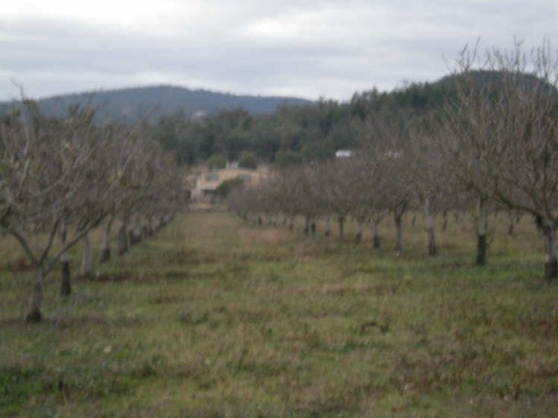 Moonbi NSW 2353