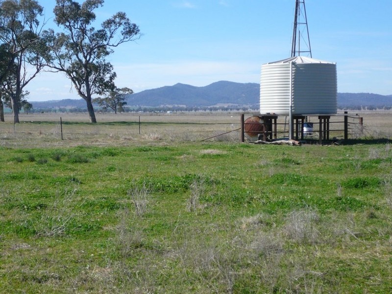 Carroll NSW 2340