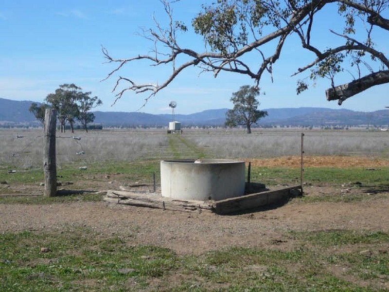 Carroll NSW 2340