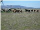 Carroll NSW 2340