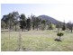 (Main Listing)/22 Elizabeth Drive, Moore Creek,, Tamworth NSW 2340