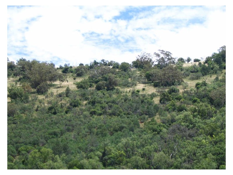 Lot 33 Joshua Place, Stirling Road, Moore Creek, Tamworth NSW 2340