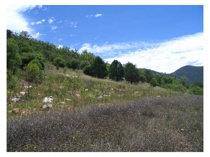 Lot 33 Joshua Place, Stirling Road, Moore Creek, Tamworth NSW 2340