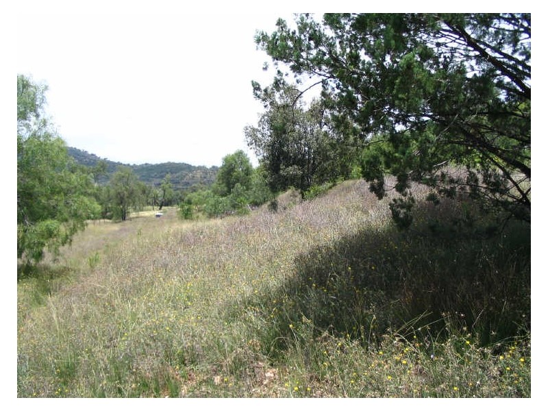 Lot 33 Joshua Place, Stirling Road, Moore Creek, Tamworth NSW 2340