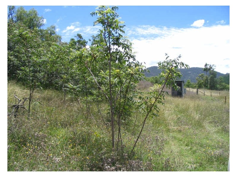 Lot 33 Joshua Place, Stirling Road, Moore Creek, Tamworth NSW 2340