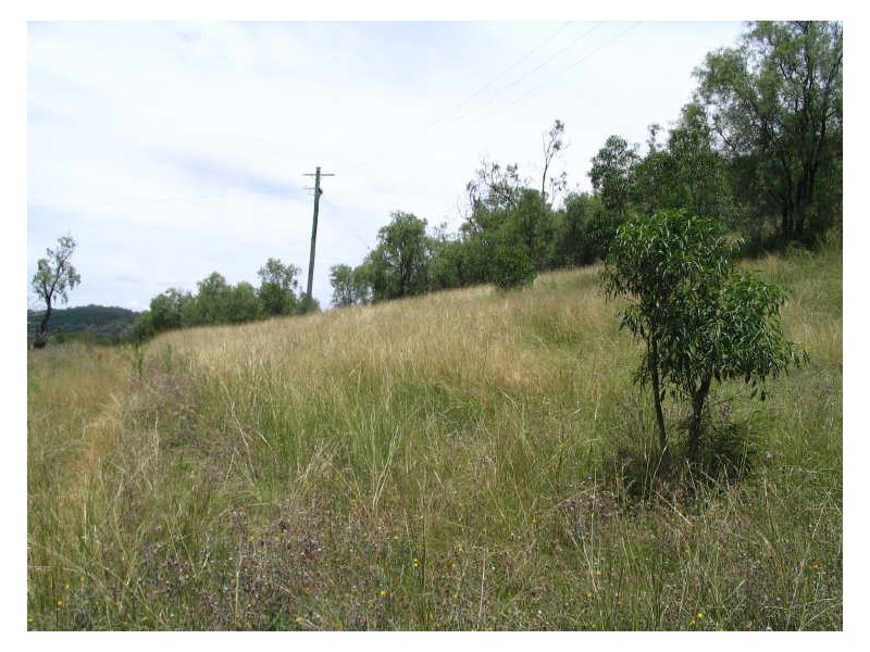 Lot 33 Joshua Place, Stirling Road, Moore Creek, Tamworth NSW 2340