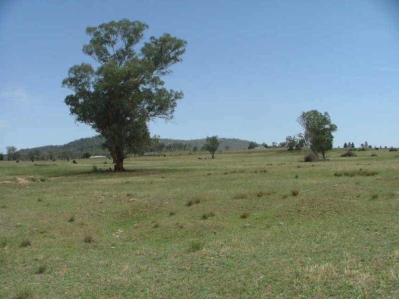 Tamworth NSW 2340