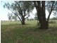 Tamworth NSW 2340