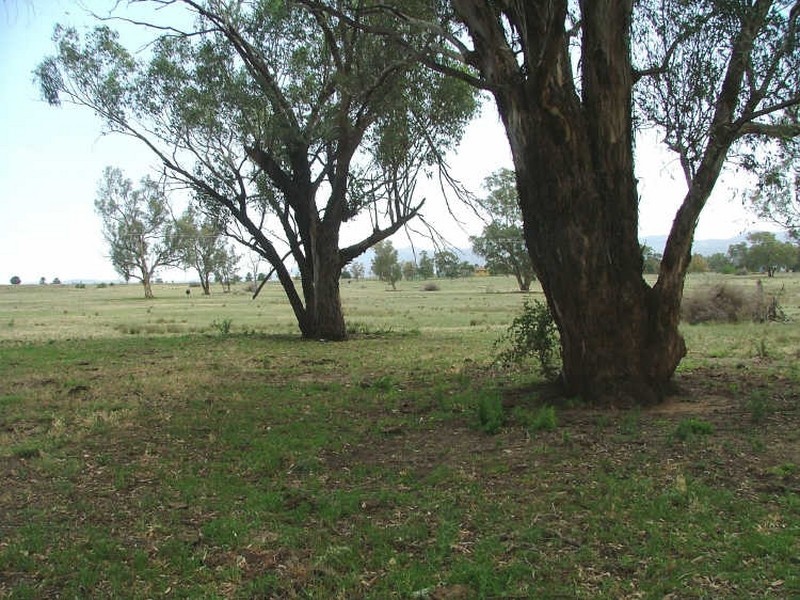 Tamworth NSW 2340