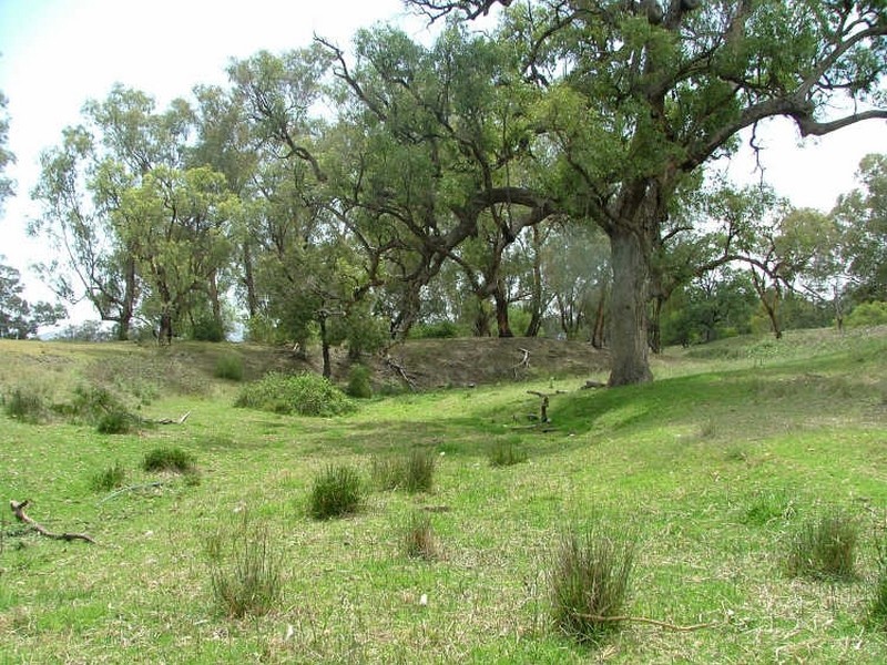 Tamworth NSW 2340