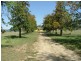 Tamworth NSW 2340